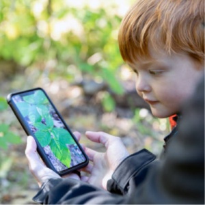 Apps in the Classroom (10 Hours)